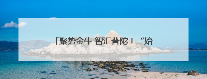 聚势金牛 智汇普陀〡“始发站”发力、“创新田”深耕，普陀科创“金牛”闪耀